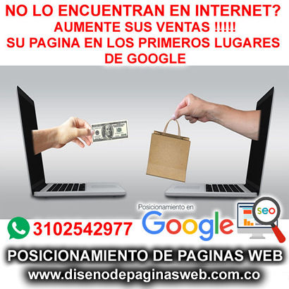 Posicionamiento de Paginas Web Bogota